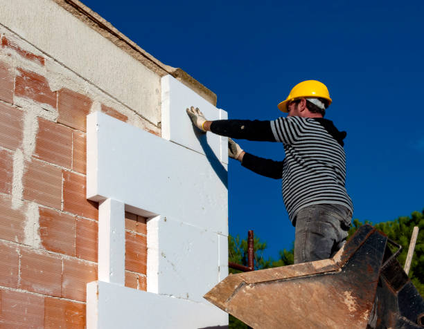 Best Geographic-Specific Insulation Services in Vla Park, IL